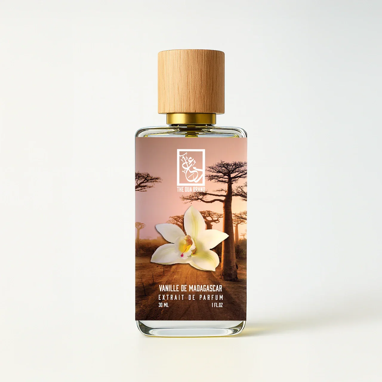 Vanille De Madagascar